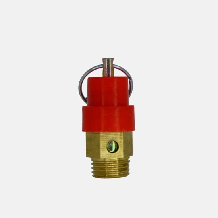 Válvula de seguridad 100 PSI de 1/4"