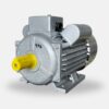 Motor Eléctrico Electric Motors 2 HP 3600 RPM 110_220V